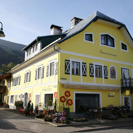 Ferienappartement Royer Schladming Buitenkant foto